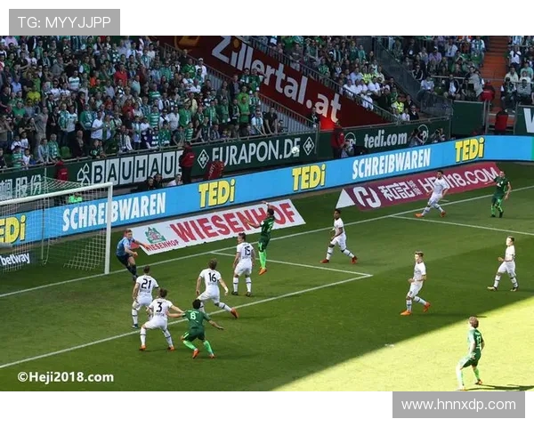 德甲各支球队主场优势与球迷热情分析